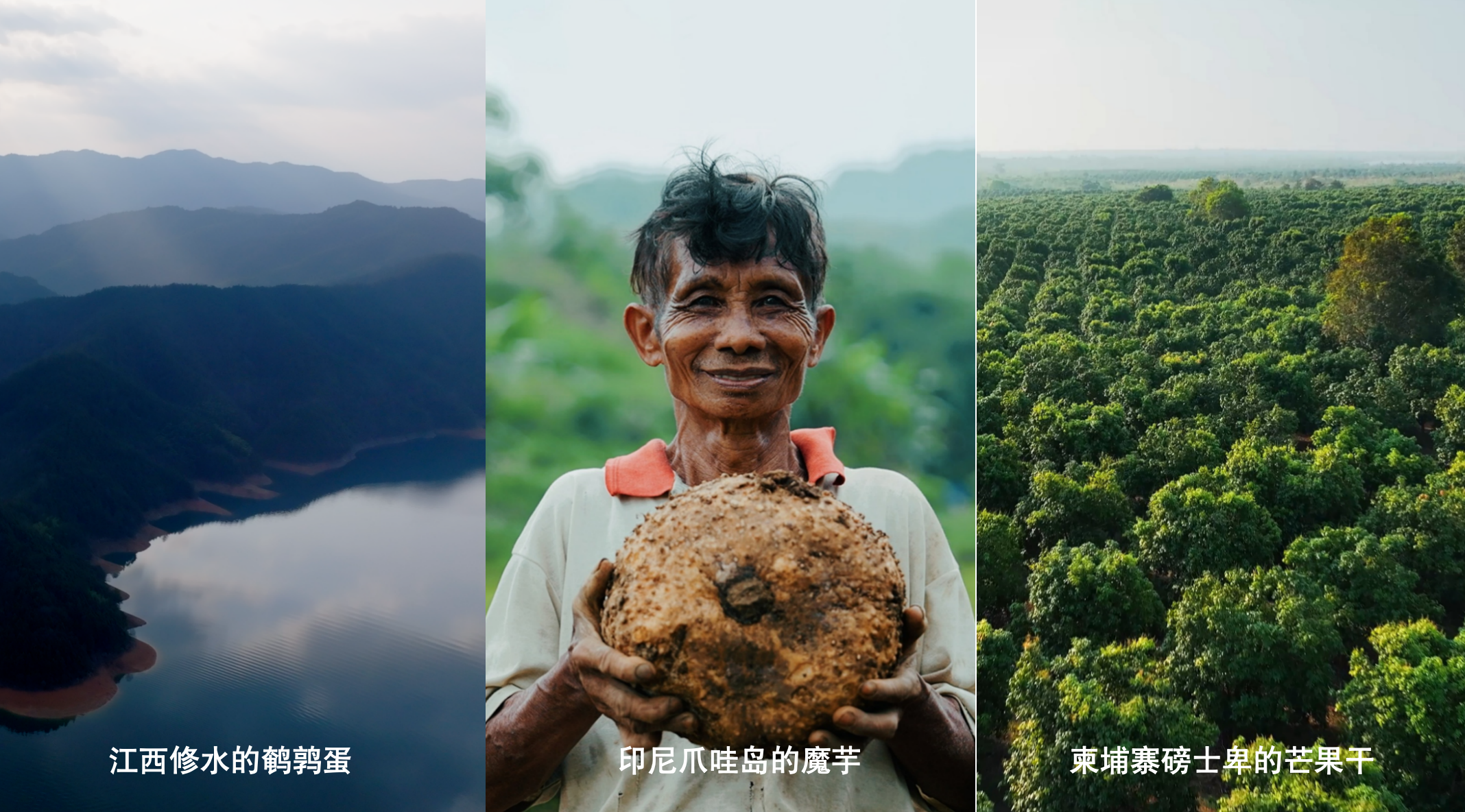 新春家書｜根深則葉茂，心定則路遠